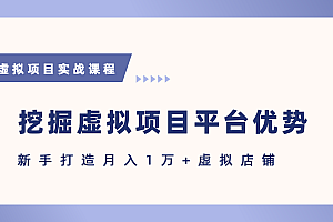 抓住虚拟项目各平台优势,新手轻松月入5万+(给出具体建议)