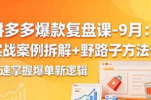 (16176期)拼多多爆款复盘课-9月:实战案例拆解+野路子方法论,快速掌握爆单新逻辑