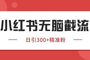 小红书截流同行客源,独家野路子获客玩法 日引200+暴力获客【揭秘】
