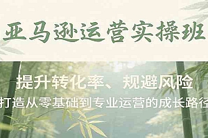 亚马逊运营实操班,提升转化率、规避风险,打造从零基础到专业运营的成长路径