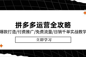 (15085期)拼多多运营全攻略,爆款打造/付费推广/免费流量/日销千单实战教学/6月更新