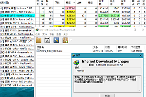 下载利器IDM v6.42.43绿色版