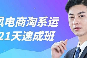 白凤电商淘系运营21天速成班