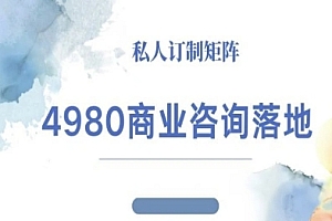 4980商业咨询师落地课程-ip运营高客单教程