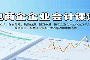 电商企业会计课:基础知识、账务处理、税费申报、账套建立及会计工作难点等实用内容
