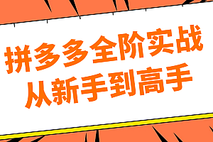 拼多多全阶实战从新手到高手