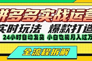 拼多多最新实战运营高投产:长久稳定项目,单店利润一天三位数
