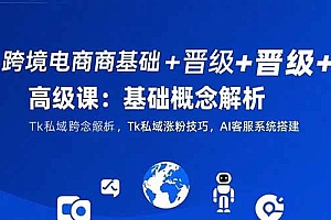 (15496期)跨境电商基础+晋级+高级课:基础概念解析,Tk私域涨粉技巧,AI客服系统搭建