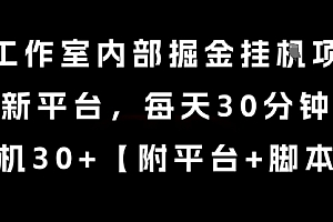某工作室内部掘金挂G项目,新平台,每天30分钟,单机30+【揭秘】