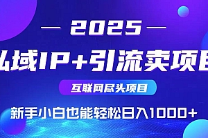 (15531期)2025网创尽头项目,私域IP+引流,新手小白也能在家日入1000+