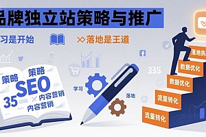 品牌独立站策略与推广,学习是开始,落地是王道