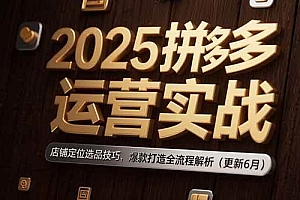 (15235期)2025拼多多运营实战:店铺定位选品技巧,爆款打造全流程解析(更新6月)
