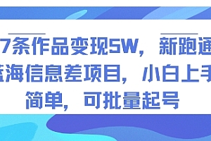 27条作品变现5W,新跑通蓝海信息差项目,小白上手简单,可批量起号