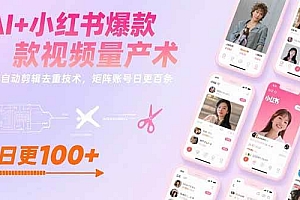 (15542期)AI+小红书爆款视频量产术:全自动剪辑去重技术,矩阵账号日更百条