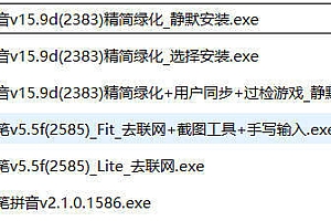 搜狗输入法v15.9d&五笔v5.5f绿化单文件版