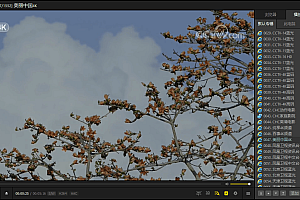 PotPlayer v1.7.22619绿色版