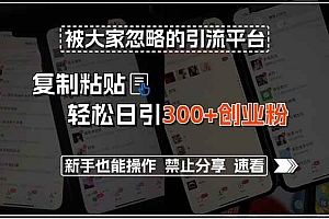 (15428期)被大家忽略的引流平台,复制粘贴轻松日引300+创业粉,新手也能操作,禁…