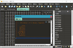 十六进制编辑器010 Editor v16.02汉化绿色版