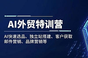 AI外贸特训营:AI快速选品、独立站搭建、客户获取、邮件营销、品牌营销等
