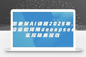 天诺老吴AI课程2025年,电商企业如何用deeepseek实现降本提效
