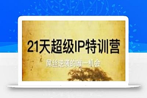 21天超级IP特训营,屌丝逆袭的唯一机会