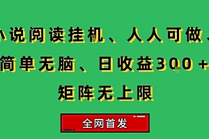 小说挂G阅读,人人可做,简单无脑,一天收益3张+矩阵无限上,全网首发【揭秘】