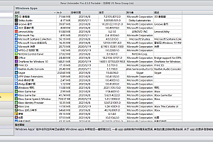 Revo Uninstaller Pro v5.4.0绿色版