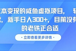零成本变现的咸鱼虚拟项目, 轻资产运营,新手日入3张+,目前没有项目的老铁正合适