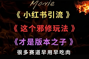 最近小红书引流这个邪修玩法才是版本之子,很多赛道早用早吃肉
