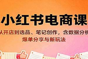 小红书电商课:从开店到选品、笔记创作,含数据分析,爆单分享与新玩法