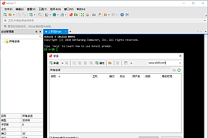 Xshell 8 Build 0082绿色特别版