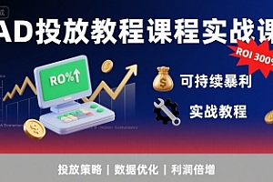 AD投放教程课程实战课,实现广告ROI300%+可持续暴利