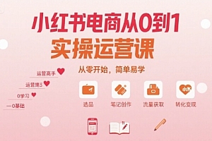 小红书电商从0到1实操运营课,从零开始,简单易学