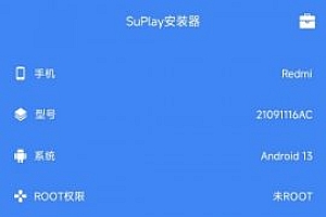 SuPlay安装器v2.5.2.0 –一键安装谷歌三件套