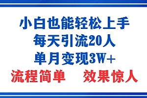 小白也能轻松上手的宝妈项目,每天引流20人,单月变现3W+,流程简单,效果惊人