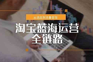 淘宝蓝海运营全链路,从选品到流量变现,小类目突围完整方案