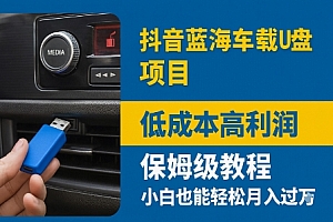 抖音蓝海车载U盘项目,低成本高利润保姆级教程,小白也能轻松月入过W