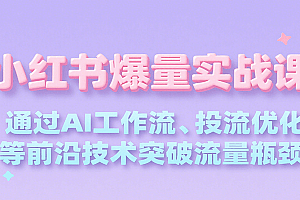 小红书爆量实战课,通过AI工作流、投流优化等前沿技术突破流量瓶颈
