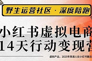 小红书虚拟电商14天变现训练营3.0,虚拟产品,2025年普通人在小红书最后的搞钱机会
