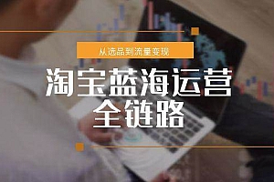 (15160期)淘宝蓝海运营全链路,从选品到流量变现,小类目突围完整方案