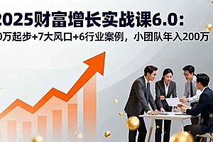 (16004期)2025财富增长实战课6.0:10万起步+7大风口+6行业案例,小团队年入200万
