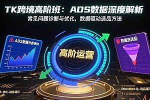 (15809期)TK跨境高阶班:ADS数据深度解析,常见问题诊断与优化,数据驱动选品方法