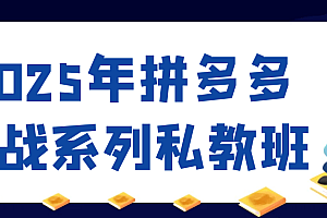 2025年拼多多实战系列私教班