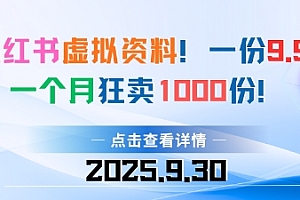 小红书虚拟资料,一份9.9,一个月狂卖1000份,门槛低见效果快