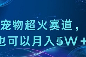 小众宠物超火赛道,小白也可以月入1w+