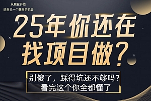 25年,你还在疯狂的找项目吗?别傻了,看完这个你都懂了【揭秘】