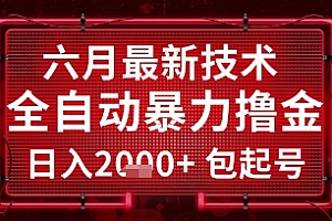 六月最新技术全自动暴力撸金,稳定日入2k+包起号,长期稳定【揭秘】