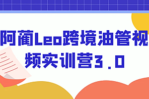 阿蔺Leo跨境油管视频实训营3.0
