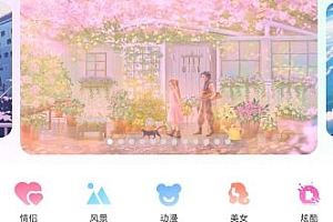 91熊猫桌面主题v1.0.5高级版