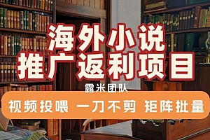 海外小说推广返利项目,视频投喂, 一刀不剪,矩阵批量